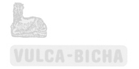 Vulka-Bicha