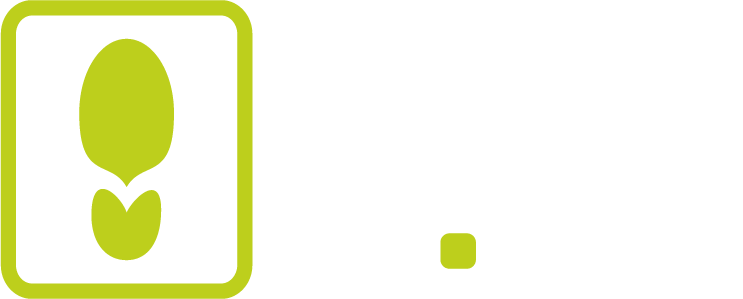 Calzados MR